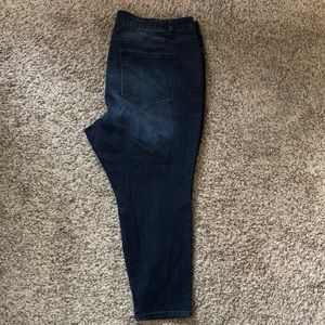 Lane Bryant Essentials Venezia Skinny Jeans Womens 28 Black Stone Stripes